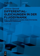 Differentialgleichungen in der Fluiddynamik - Adriano Oprandi