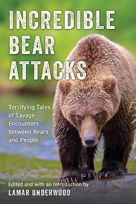 Incredible Bear Attacks - 