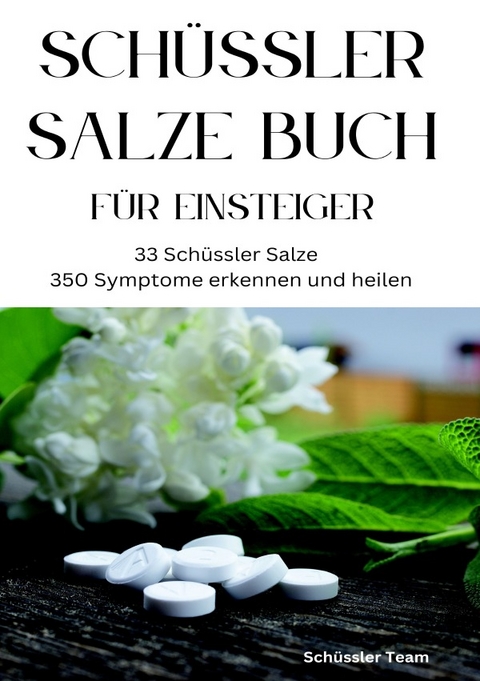 SCHÜSSLER SALZE BUCH FÜR EINSTEIGER: 33 Schüssler Salze &amp; 350 Symptome erkennen und heilen - SONDERAUSGABE - Schüssler Team