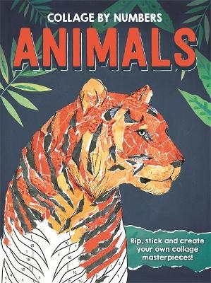 Collage By Numbers: Animals -  Igloo Books Ltd