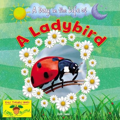 A Ladybird - Ruth Owen