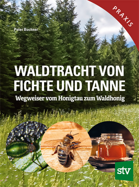 Waldtracht von Fichte und Tanne - Peter Buchner