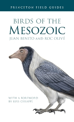 Birds of the Mesozoic - Juan Benito, Roc Olivé