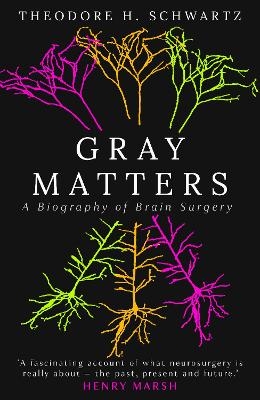 Gray Matters - Theodore Schwartz