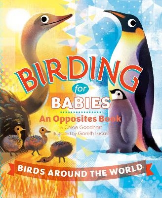 Birding for Babies: Birds Around the World - Chloe Goodhart