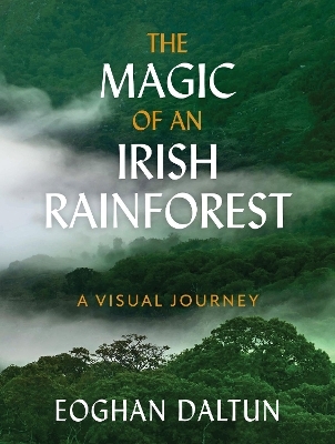 The Magic of an Irish Rainforest - Eoghan Daltun