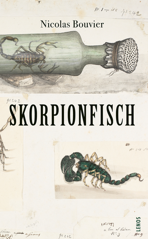 Skorpionfisch - Nicolas Bouvier