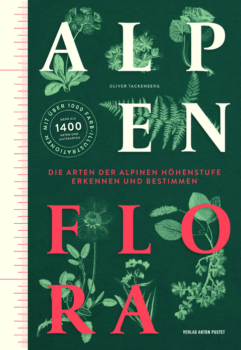 Alpenflora - Oliver Tackenberg