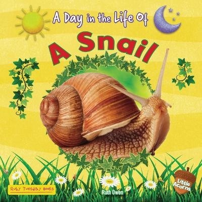 A Snail - Ruth Owen