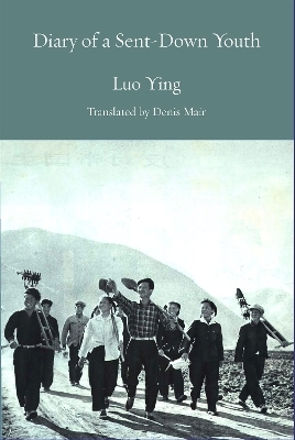 Journal of the Cultural Revolution - Luo Ying