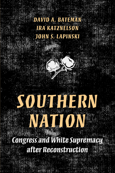 Southern Nation -  David A. Bateman,  Ira Katznelson,  John S. Lapinski