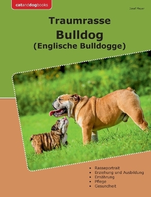 Traumrasse Bulldog - Josef Meyer