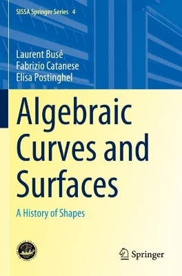 Algebraic Curves and Surfaces - Laurent Busé, Fabrizio Catanese, Elisa Postinghel