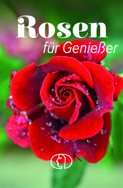 Rosen für Genießer - Heike Mohr