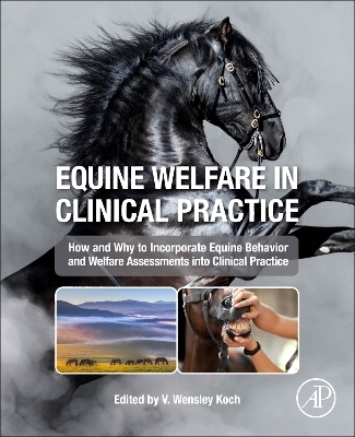 Equine Welfare in Clinical Practice - 