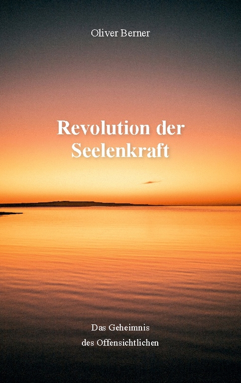 Revolution der Seelenkraft - Oliver Berner
