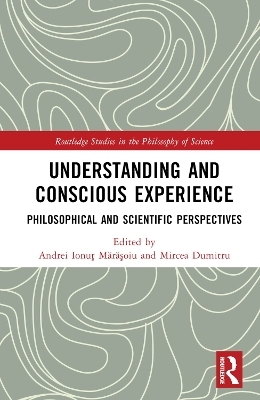 Understanding and Conscious Experience - 