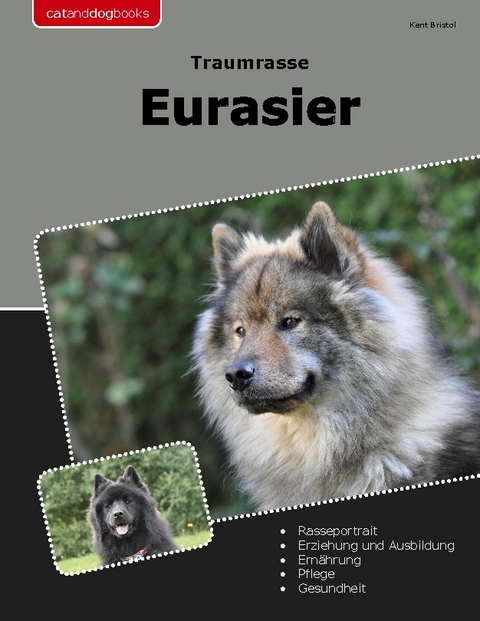 Traumrasse Eurasier - Kent Bristol