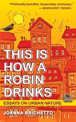 This Is How a Robin Drinks - Joanna Brichetto