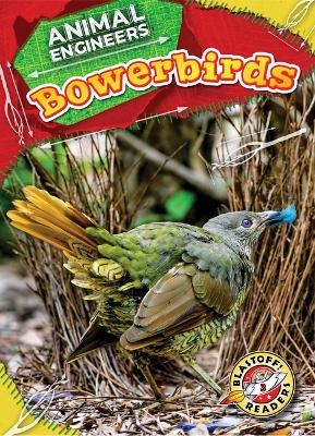 Bowerbirds - Rebecca Pettiford