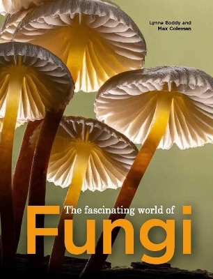 The Fascinating World of Fungi - 