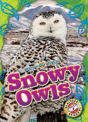 Snowy Owls - Rachael Barnes