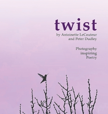 twist - Peter J Dudley