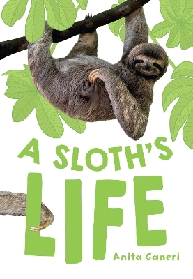 A Sloth's Life - Anita Ganeri