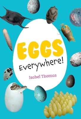 Eggs Everywhere! - Isabel Thomas