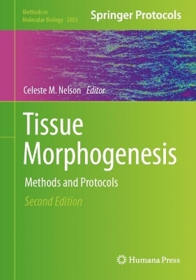 Tissue Morphogenesis - 