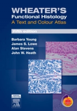Wheater's Functional Histology - Young, Barbara; Lowe, James S.; Stevens, Alan; Heath, John W.; Deakin, Philip J.