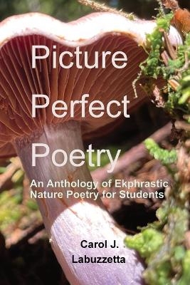Picture Perfect Poetry - Carol J Labuzzetta