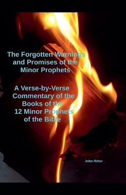 The Forgotten Warnings and Promises of the Minor Prophets A Verse-by-Verse Commentary of the Books of the 12 Minor Prophets of the Bible - Johny Ritter