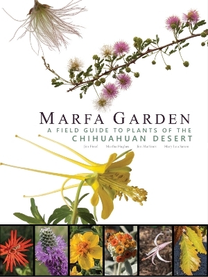 Marfa Garden - Jim Martinez, Mary Lou Saxon, Jim Fissel, Martha Hughes