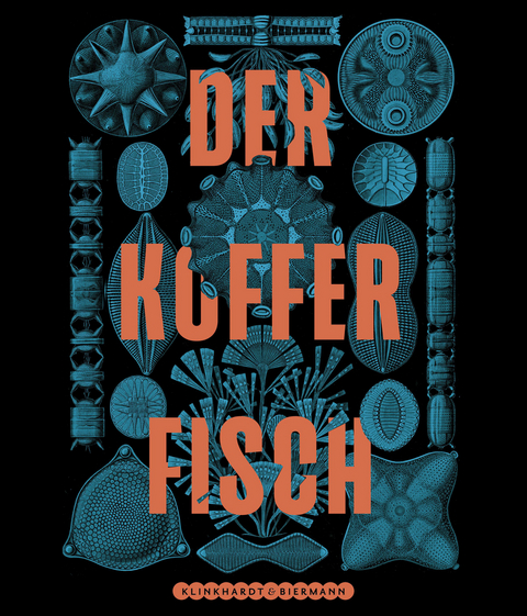 Der Kofferfisch - Marion Blomeyer, Charlotte Vierer