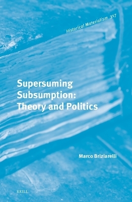 Supersuming Subsumption: Theory and Politics - Marco Briziarelli