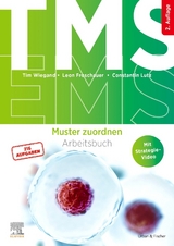 TMS und EMS - Muster zuordnen - Wiegand, Tim; Froschauer, Leon; Lutz, Constantin