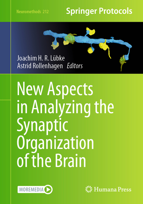 New Aspects in Analyzing the Synaptic Organization of the Brain - 