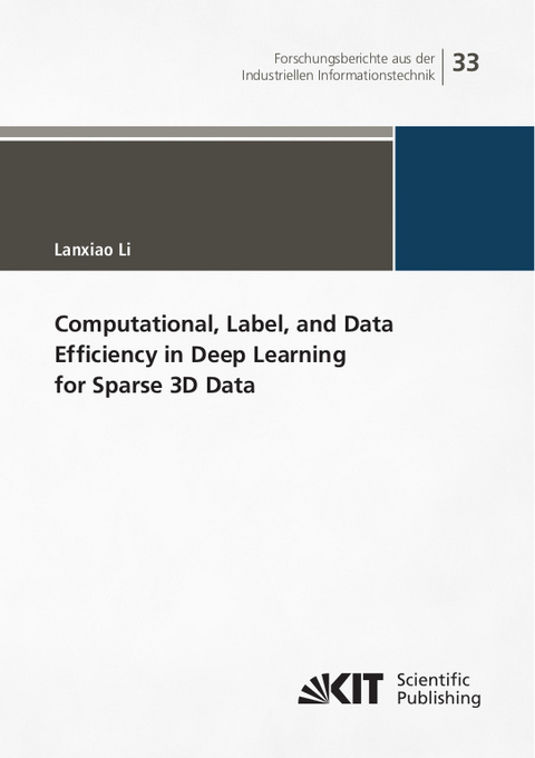 Computational, Label, and Data Efficiency in Deep Learning for Sparse 3D Data - Lanxiao Li