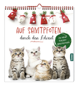 Auf Samtpfoten durch den Advent - Heike Wendler