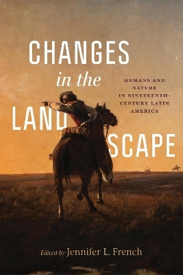 Changes in the Landscape - Jens Andermann, Ronald Briggs, Gisela Heffes, Aarti S. Madan