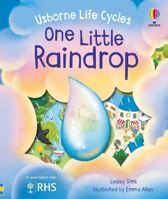 One Little Raindrop - Lesley Sims