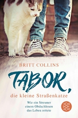 Tabor, die kleine Straßenkatze -  Britt Collins