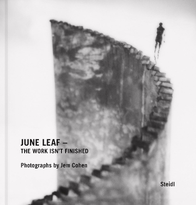 June Leaf – The Work Isn’t Finished - Jem Cohen