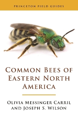 Common Bees of Eastern North America - Olivia Messinger Carril, Joseph S. Wilson