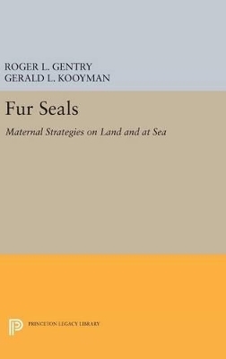 Fur Seals - 