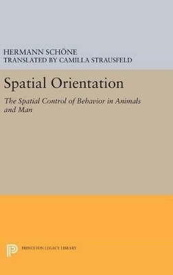 Spatial Orientation - Hermann Schone