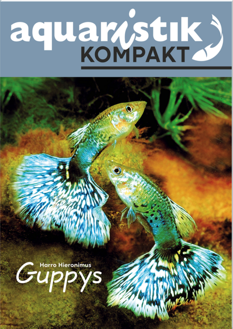 Guppys - aquaristik KOMPAKT - Harro Hieronimus