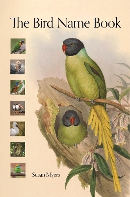 The Bird Name Book - Susan Myers