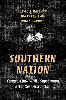 Southern Nation - David Bateman, Ira Katznelson, John S. Lapinski